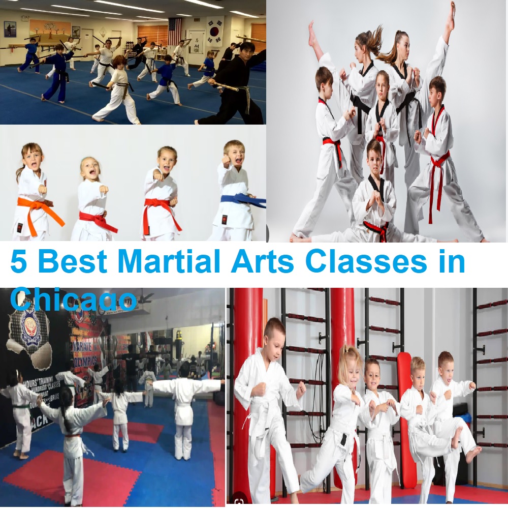 Best Martial Arts Classes In Chicago The Best Martial Arts Classes 